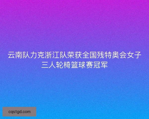云南队力克浙江队荣获全国残特奥会女子三人轮椅篮球赛冠军